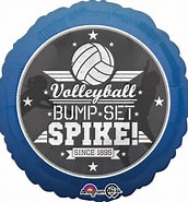 18" Volleyball*Bump*Set*Spike!